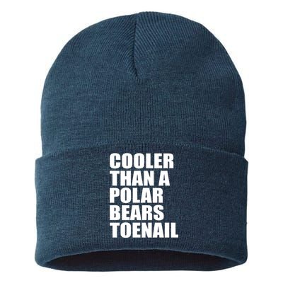 Cooler Than a Polar Bears Toenail Sustainable Knit Beanie