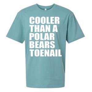 Cooler Than a Polar Bears Toenail Sueded Cloud Jersey T-Shirt