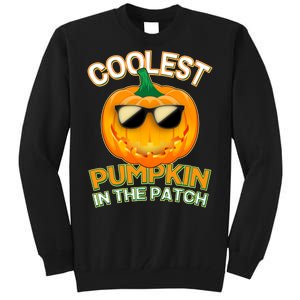 Coolest Pumpkin In The Patch Tall Sweatshirt