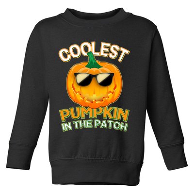 Coolest Pumpkin In The Patch Toddler Sweatshirt