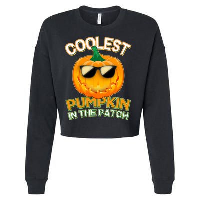 Coolest Pumpkin In The Patch Cropped Pullover Crew