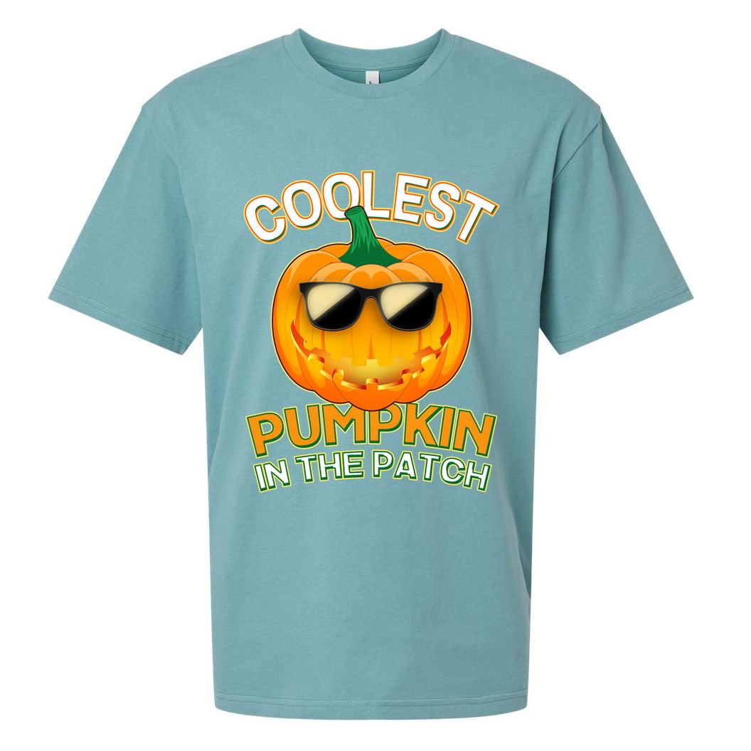 Coolest Pumpkin In The Patch Sueded Cloud Jersey T-Shirt
