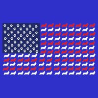 Corgi American Dog Flag Premium T-Shirt