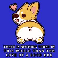 Corgi Butt Love A Dog Poster