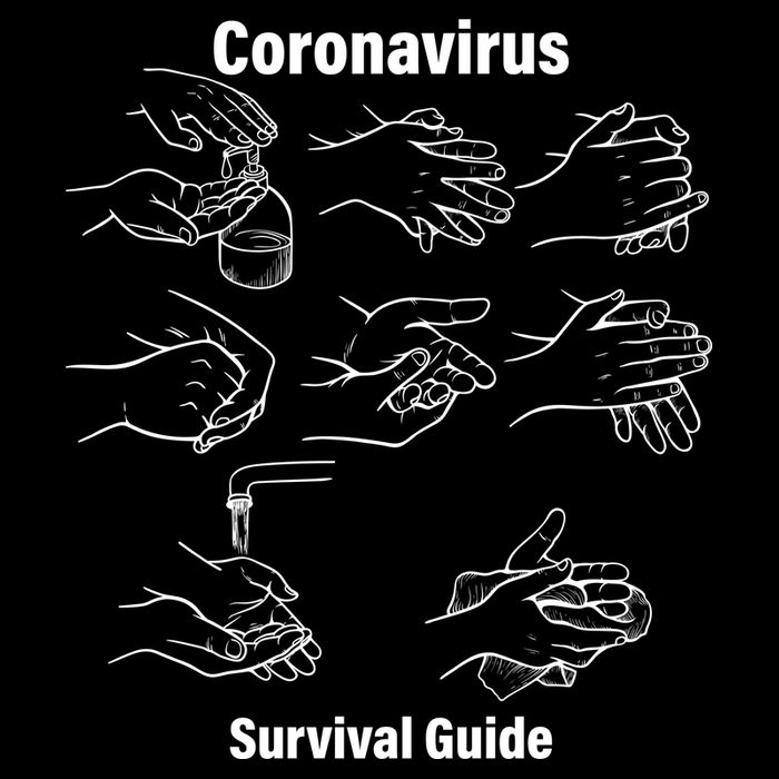 Coronavirus Survival Guide Cropped Pullover Crew