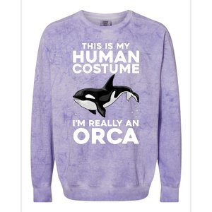 Cool Orca Sea Ocean Animal Orca Lover Colorblast Crewneck Sweatshirt