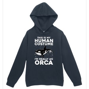 Cool Orca Sea Ocean Animal Orca Lover Urban Pullover Hoodie