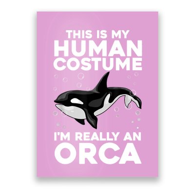 Cool Orca Sea Ocean Animal Orca Lover Poster