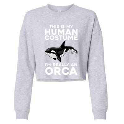 Cool Orca Sea Ocean Animal Orca Lover Cropped Pullover Crew