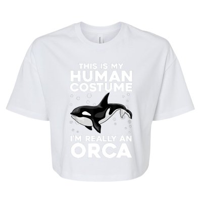 Cool Orca Sea Ocean Animal Orca Lover Bella+Canvas Jersey Crop Tee