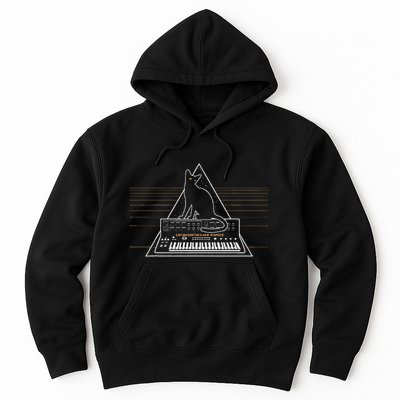 Cats On Synthesizer In Space Lover Music Producer Synth Hoodie