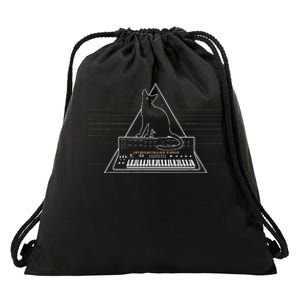 Cats On Synthesizer In Space Lover Music Producer Synth Drawstring Bag