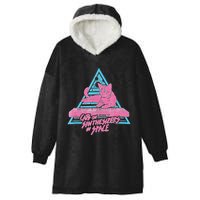 Cats On Synthesizers In Space Cat Owner Hooded Wearable Blanket