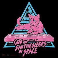 Cats On Synthesizers In Space Cat Owner Poster