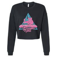 Cats On Synthesizers In Space Cat Owner Cropped Pullover Crew