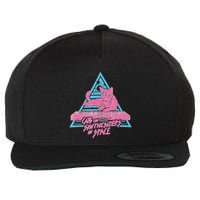 Cats On Synthesizers In Space Cat Owner Wool Snapback Cap