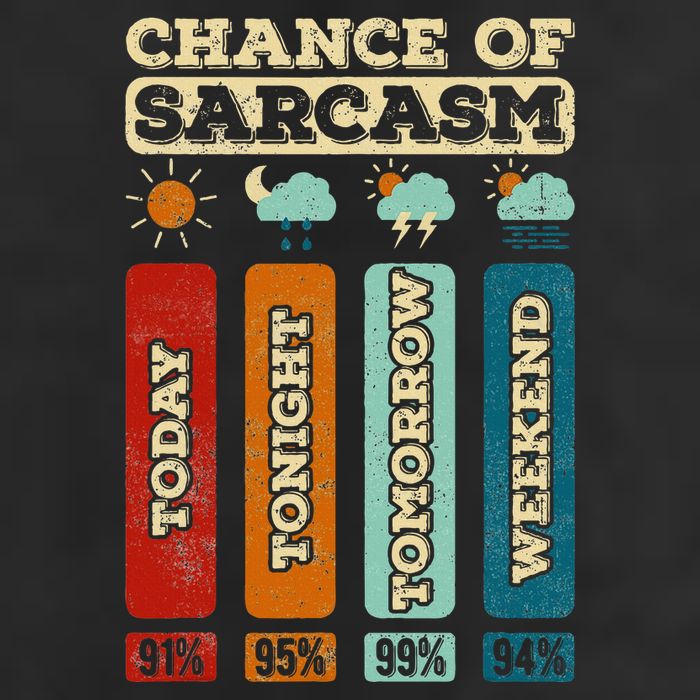 Chance Of Sarcasm Weather Funny Forecast And Meteorology Hat