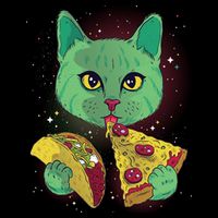 Cosmic Pizza Taco Space Cat Flatbill Hat