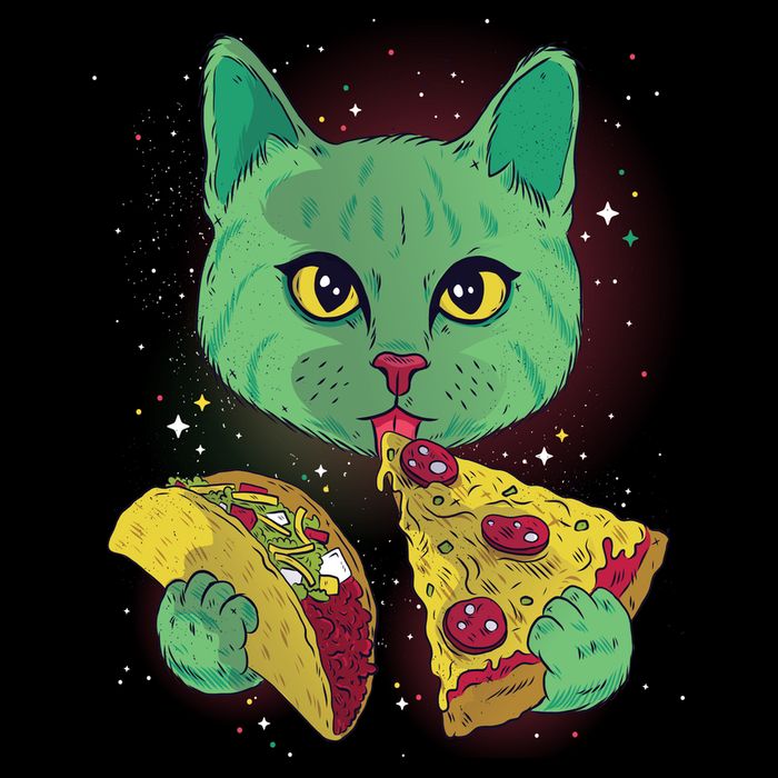Cosmic Pizza Taco Space Cat Flatbill Hat