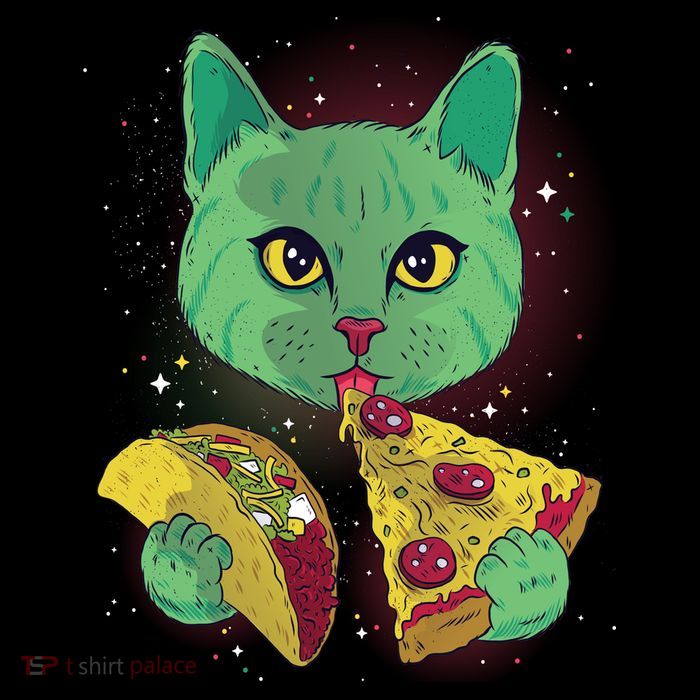 Cosmic Pizza Taco Space Cat Wool Snapback Cap