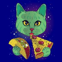 Cosmic Pizza Taco Space Cat Mug