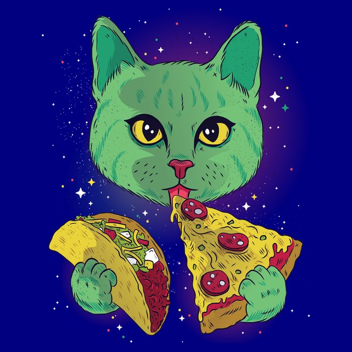 Cosmic Pizza Taco Space Cat Mug