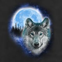 Cosmic Wolf  7 Panel Mesh Trucker Snapback Hat