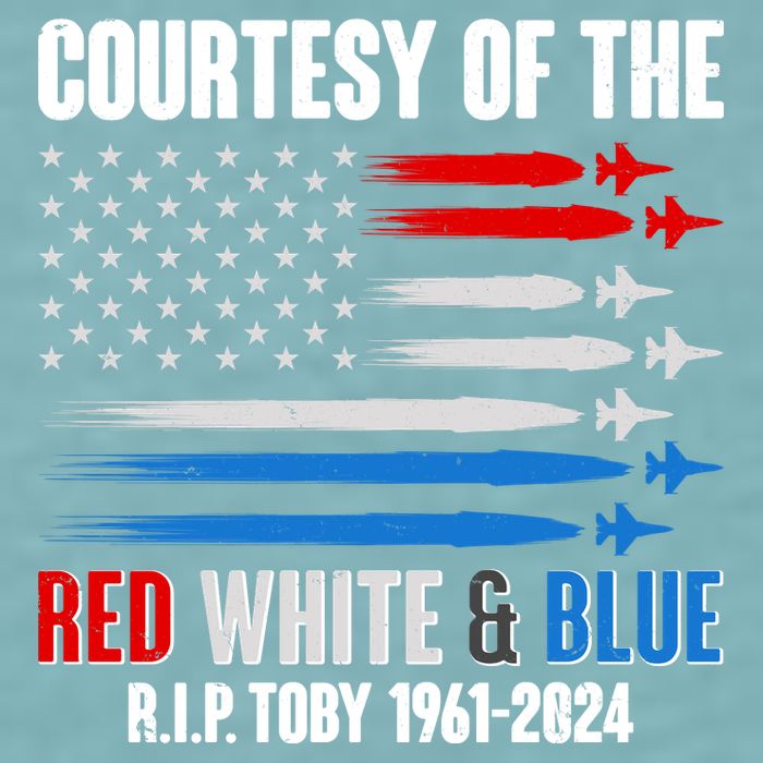 Courtesy Of The Red White And Blue Toby Tribute Sueded Cloud Jersey T-Shirt