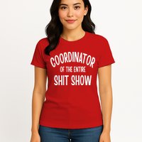 Coordinator Of The Entire ShitShow Womens T-Shirt