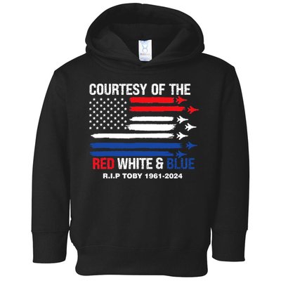 Courtesy Of The Red White And Blue Rip Toby Toddler Hoodie