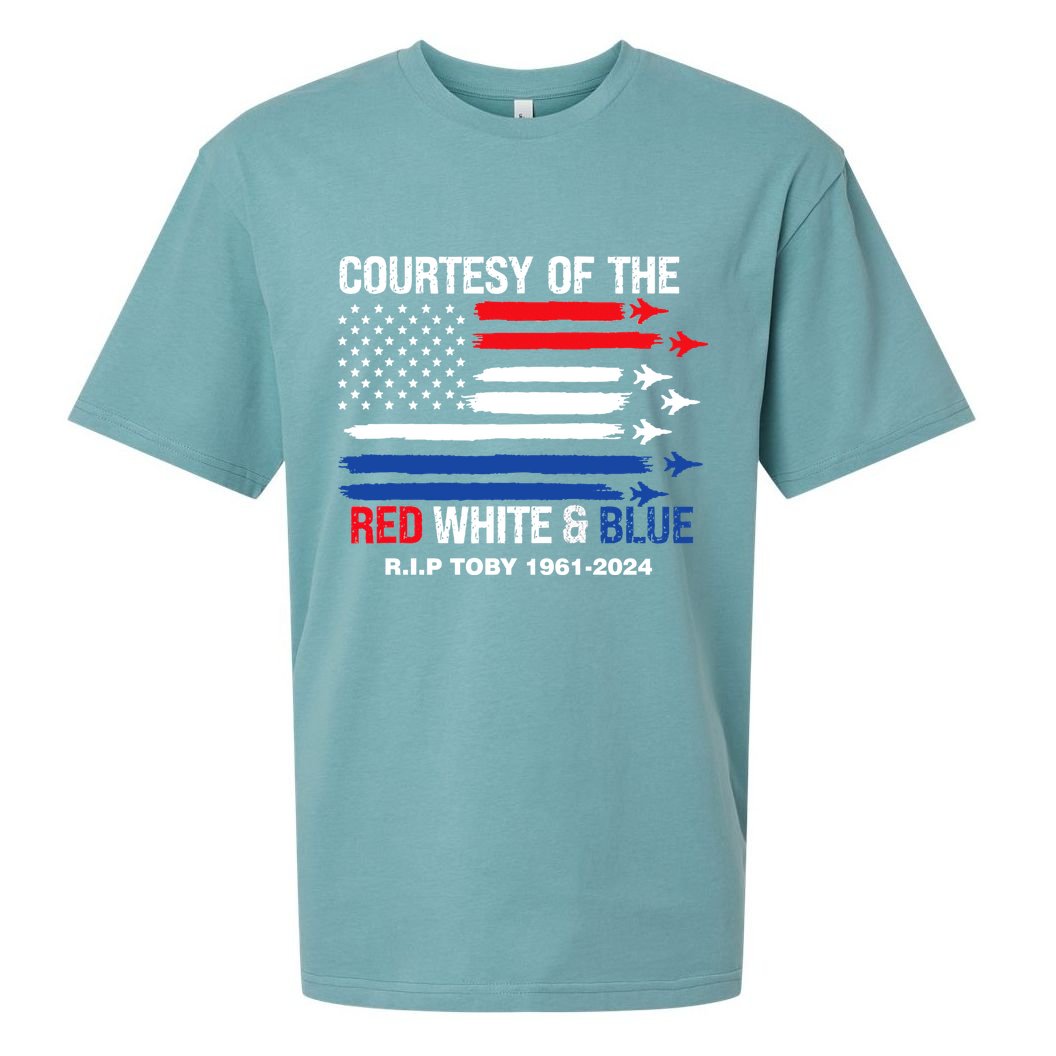 Courtesy Of The Red White And Blue Rip Toby Sueded Cloud Jersey T-Shirt
