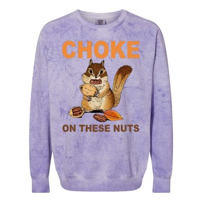 Choke On These Nuts Funny Sarcastic Humor Chipmunk Colorblast Crewneck Sweatshirt