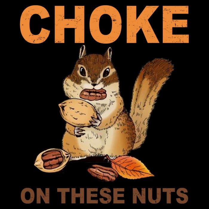 Choke On These Nuts Funny Sarcastic Humor Chipmunk 16 in Basic Backpack
