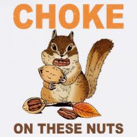 Choke On These Nuts Funny Sarcastic Humor Chipmunk Visor