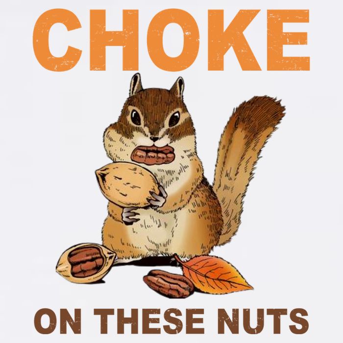 Choke On These Nuts Funny Sarcastic Humor Chipmunk Visor