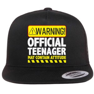 Cool Official Teenager For Boys Girls Teen 13 Year Old B-Day Flat Bill Trucker Hat