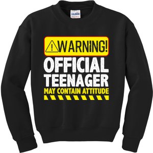 Cool Official Teenager For Boys Girls Teen 13 Year Old B-Day Kids Sweatshirt