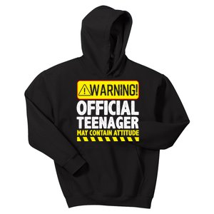 Cool Official Teenager For Boys Girls Teen 13 Year Old B-Day Kids Hoodie