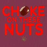 Choke On These Nuts 16oz Travel Tumbler