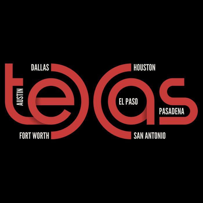 Cities Of Texas Logo 16 in Basic Backpack
