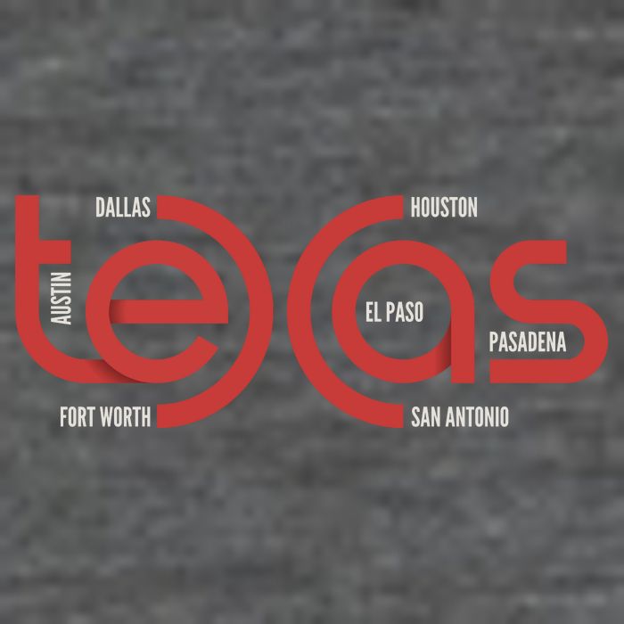 Cities Of Texas Logo Wool Snapback Cap
