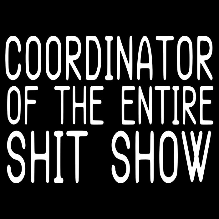 Coordinator Of The Entire Shit Show 7-Panel Snapback Hat