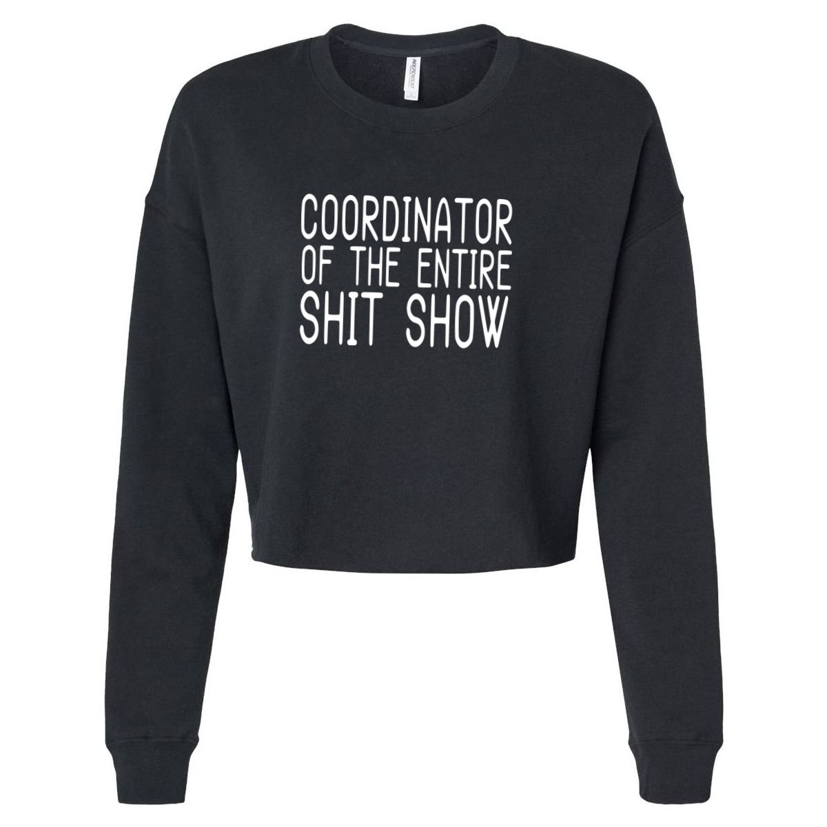 Coordinator Of The Entire Shit Show Apron