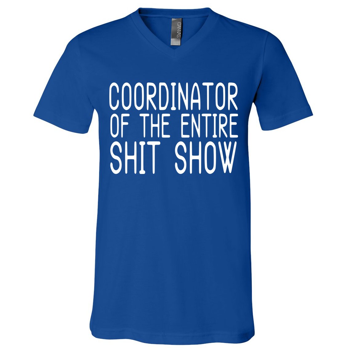 Coordinator Of The Entire Shit Show V-Neck T-Shirt