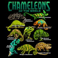Chameleons Of The World Educational Reptile Lizard Lover 16oz Travel Tumbler