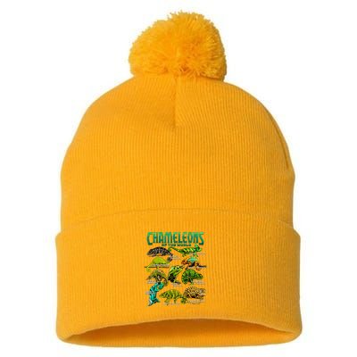 Chameleons Of The World Educational Reptile Lizard Lover Pom Pom 12in Knit Beanie