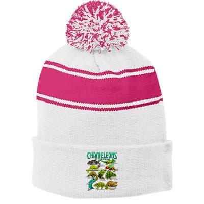 Chameleons Of The World Educational Reptile Lizard Lover Stripe Pom Pom Beanie