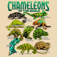 Chameleons Of The World Educational Reptile Lizard Lover Bag