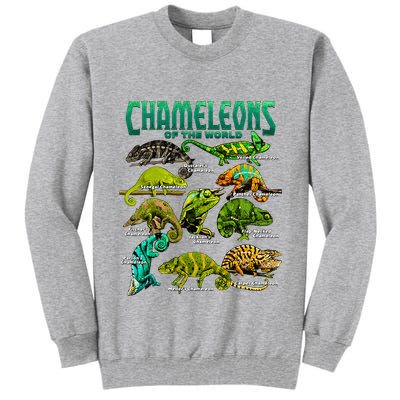 Chameleons Of The World Educational Reptile Lizard Lover Tall Sweatshirt