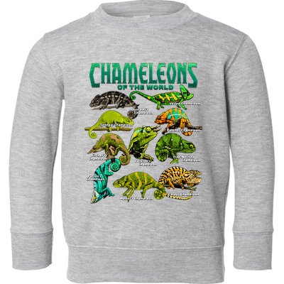 Chameleons Of The World Educational Reptile Lizard Lover Toddler Sweatshirt